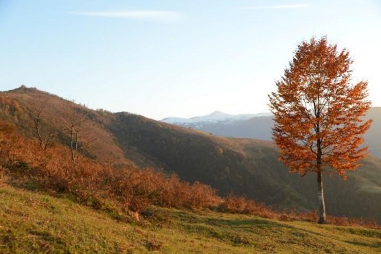 Arka planda madur dağı