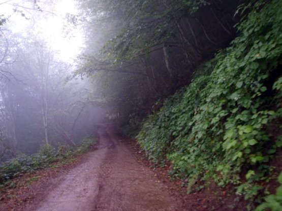 kervan yolu