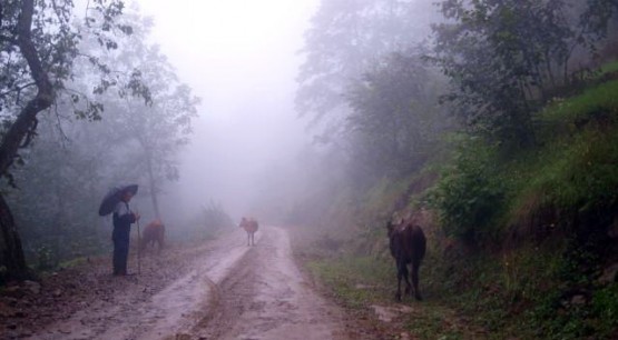 kervan yolu
