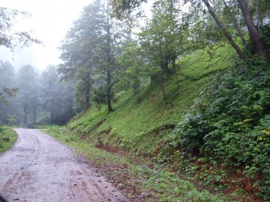 kervan yolu