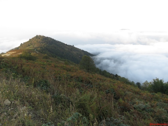 Sonbahar /Kahvedüzü