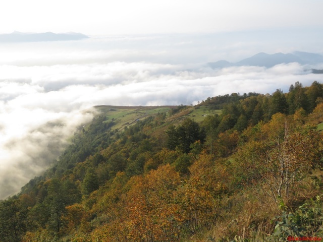 Kahvedüzü /Sonbahar