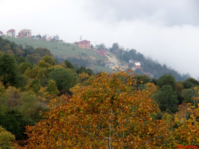 sonbahar da kervan yolu