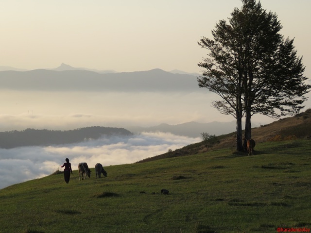Kervanyolu / Soğuksu yaylası