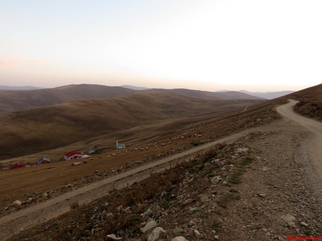 Kervanyolu / Omal yaylası