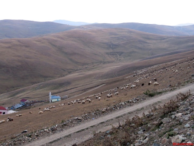 Omal yaylası /Sürmene