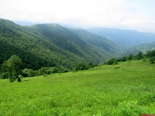 Kahvedüzü vadisi