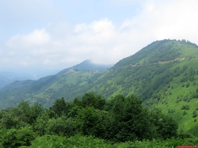 kahvedüzü