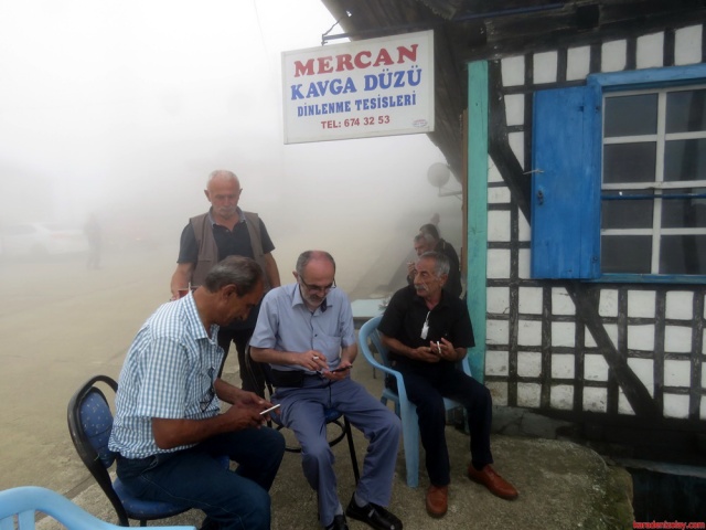 Mercan kavga düzü