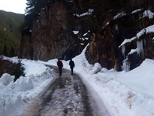 uzungöl yayla yolu