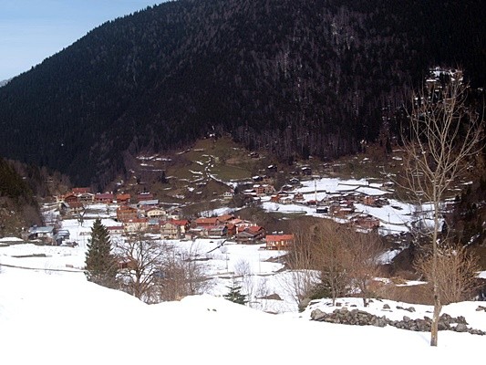 uzungöl çevresinden