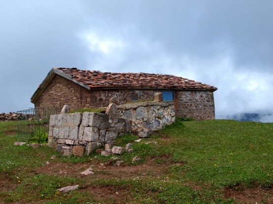 Trabzon/Araklı/ Golaşa/Zifinboğazı yaylası