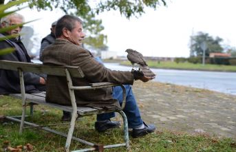 Atmaca, el üstünde