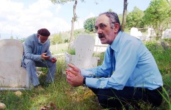 Erbaa, Fidi’de tek başına bir orman!