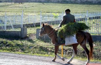 Ver elini Ağrı Dağı