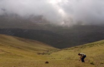 Yaylalar da bu yıl Boran  var