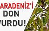 Karadeniz’i don vurdu!