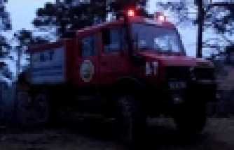 Çamburnu orman yangını - 3