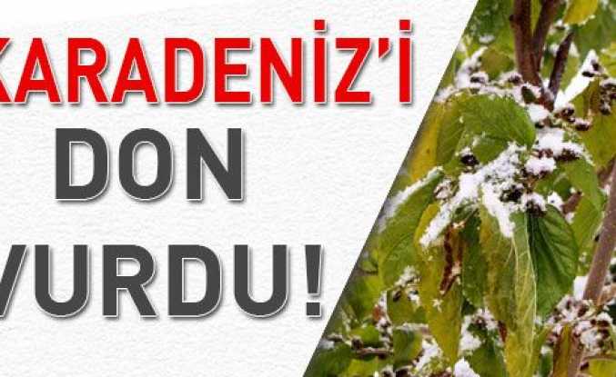 Karadeniz’i don vurdu!