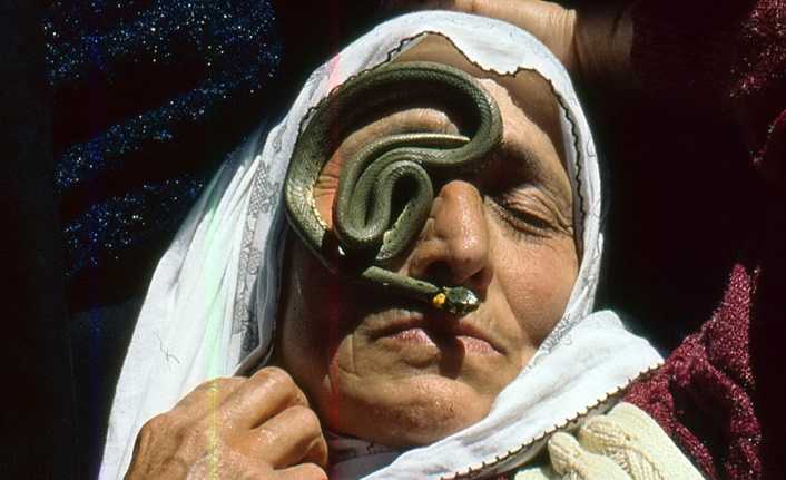 Yılanlar ürküttü!